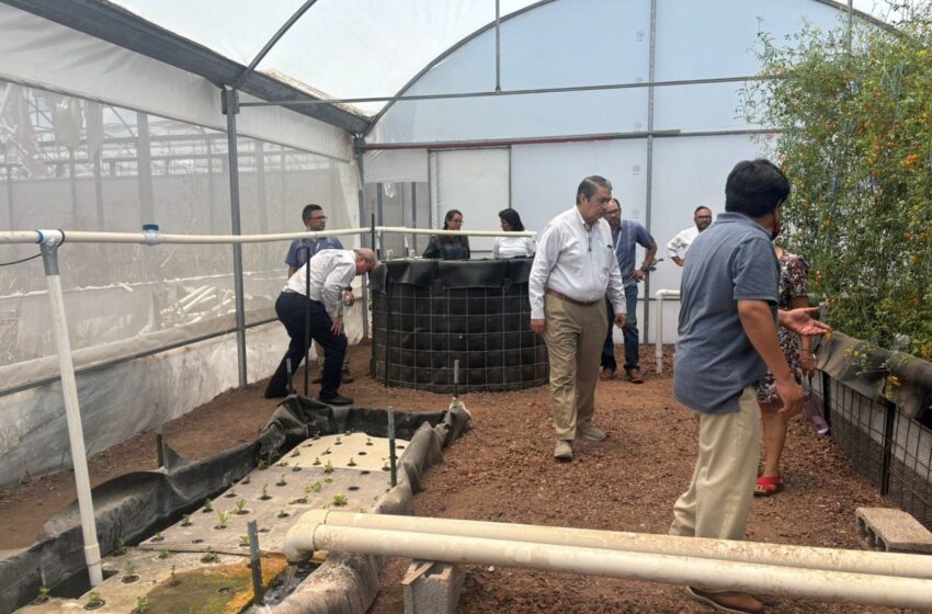  Rector de la UASLP fortalece la presencia universitaria en seis municipios con gira de vinculación académica y social