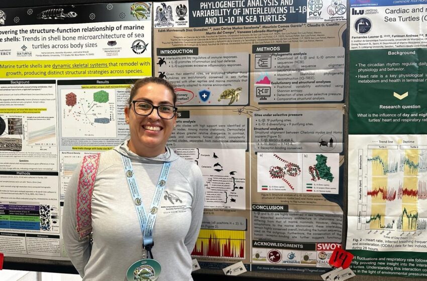  Investigación de la UASLP sobre tortugas marinas llega a Hawái y se inserta en diálogo científico internacional