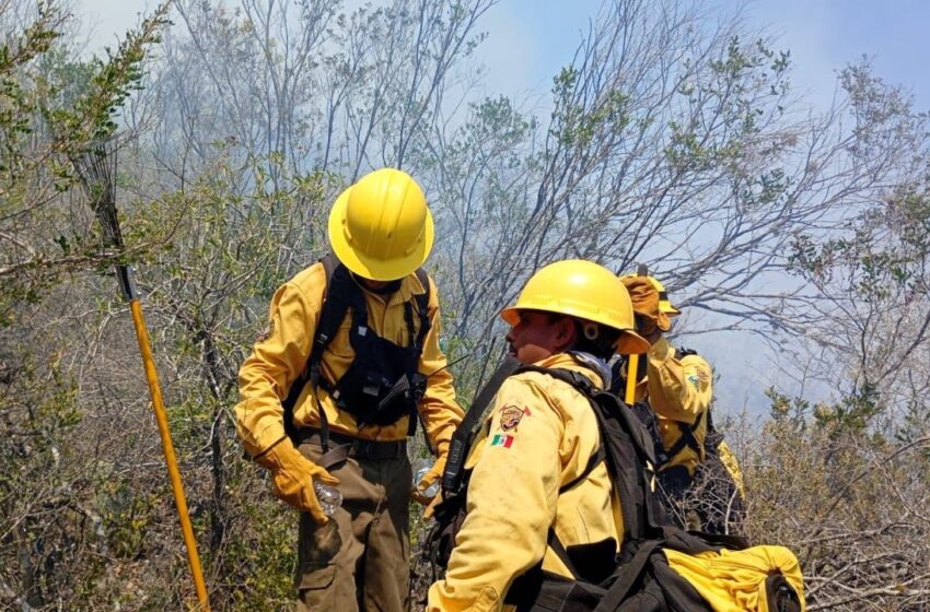  Evacúan a tres familias por incendio forestal en Ciudad del Maíz; continúan labores de control en Buenavista