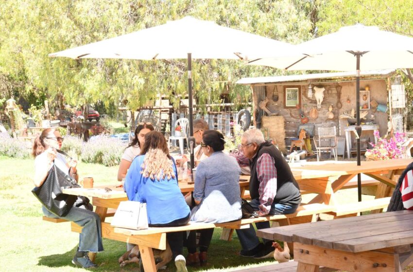  Soledad busca cerrar 2026 con 40 negocios turísticos formalizados ante la Federación