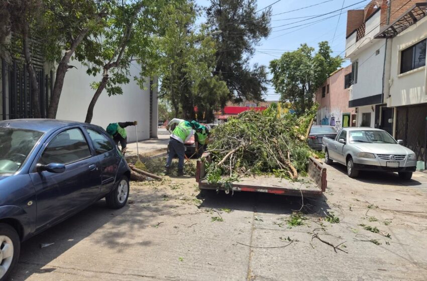  Gobierno estatal interviene colonias de la capital con mejoras urbanas y acciones de prevención social