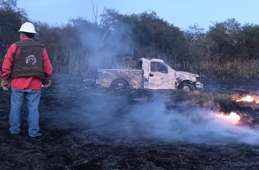  Controlan incendio de pastizal en Tamuín tras operativo conjunto; sin reporte de personas lesionadas