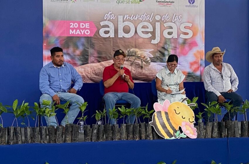  Huasteca potosina conmemora el Día Mundial de las Abejas con enfoque ambiental y productivo