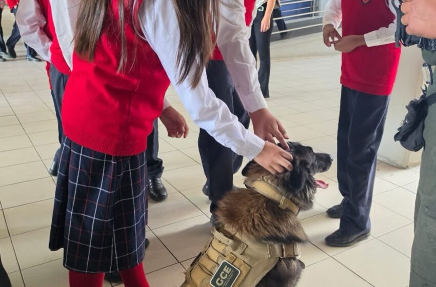  UNIDAD K9 FORTALECE LA PREVENCIÓN Y LA CERCANÍA CON LA NIÑEZ Y JUVENTUD POTOSINA