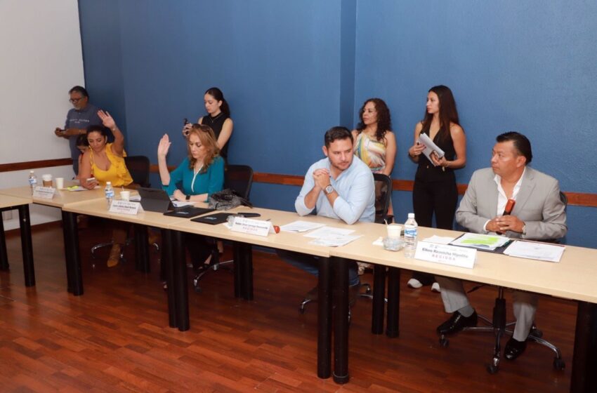  Comisiones avalan simplificar licencias comerciales, pero el reto será no relajar la supervisión