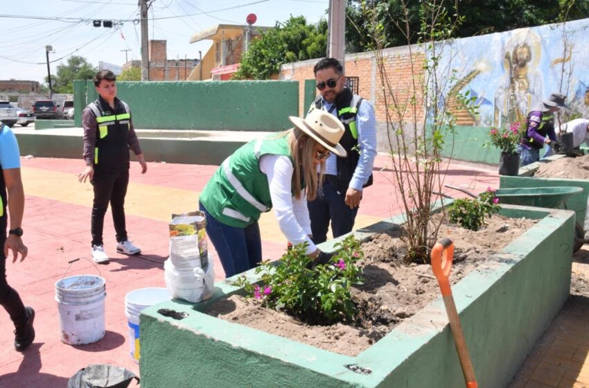  GOBIERNO DE SOLEDAD REHABILITA ESPACIOS COMUNES EN MÁS ÁREAS VERDES