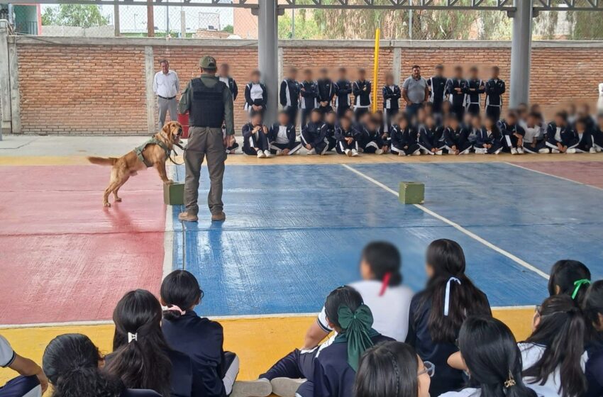 GOBIERNO ESTATAL FOMENTA LA CULTURA DE LA PAZ Y EL RESPETO A LOS ANIMALES ENTRE ESTUDIANTES