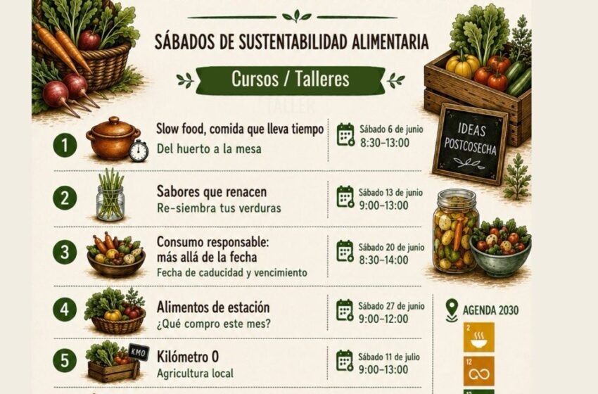  “Del huerto a la mesa”: Agenda Ambiental UASLP imparte talleres de sustentabilidad y alimentación consciente