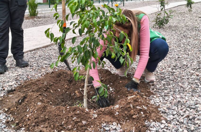  Soledad refuerza reforestación en el Parque Lineal de Hogares Populares Pavón