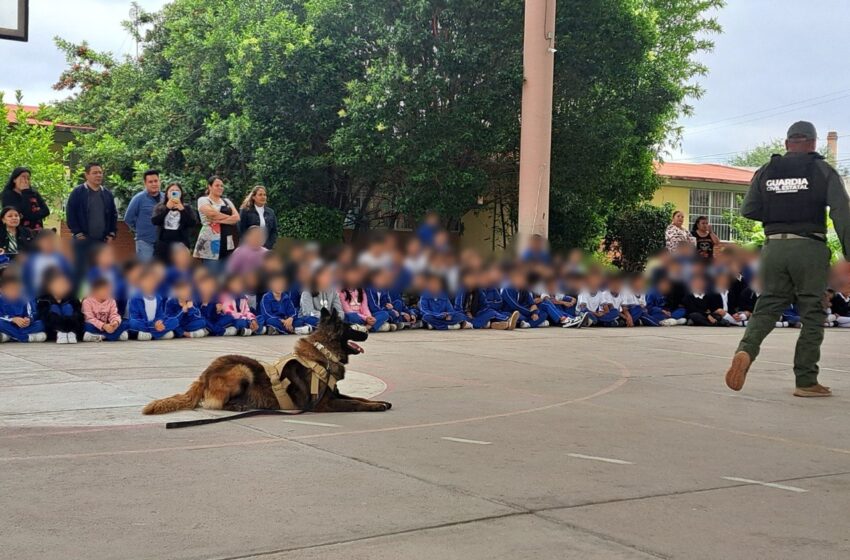  RESPETO A LOS SERES VIVOS Y TENENCIA RESPONSABLE DE MASCOTAS FORTALECEN LA PREVENCIÓN DESDE LA INFANCIA