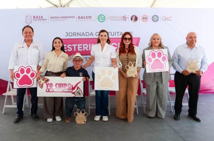  Baja California refuerza jornadas gratuitas de esterilización, vacunación y desparasitación para mascotas