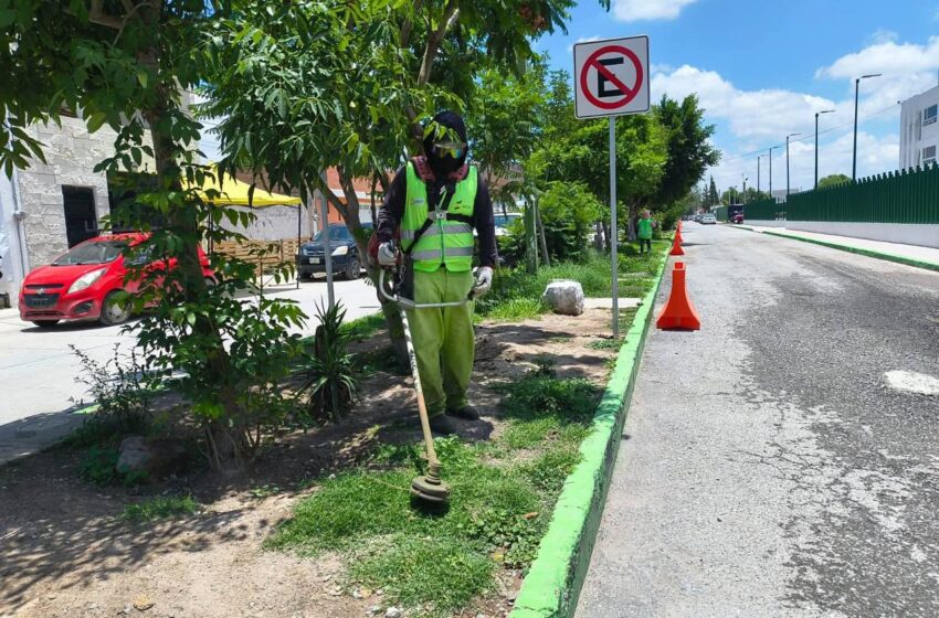  Soledad refuerza limpieza de áreas verdes, plazas y vialidades del municipio