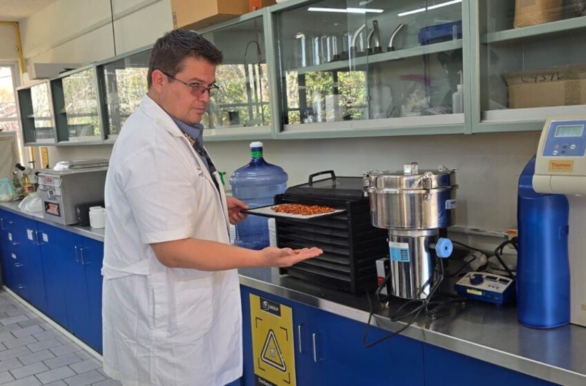  UASLP impulsa innovación agroindustrial para dar mayor valor a productos regionales