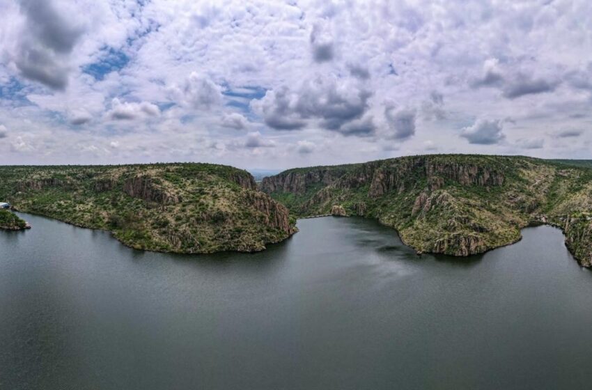  Lluvias reactivan el campo de Aguascalientes y mejoran expectativas para productores