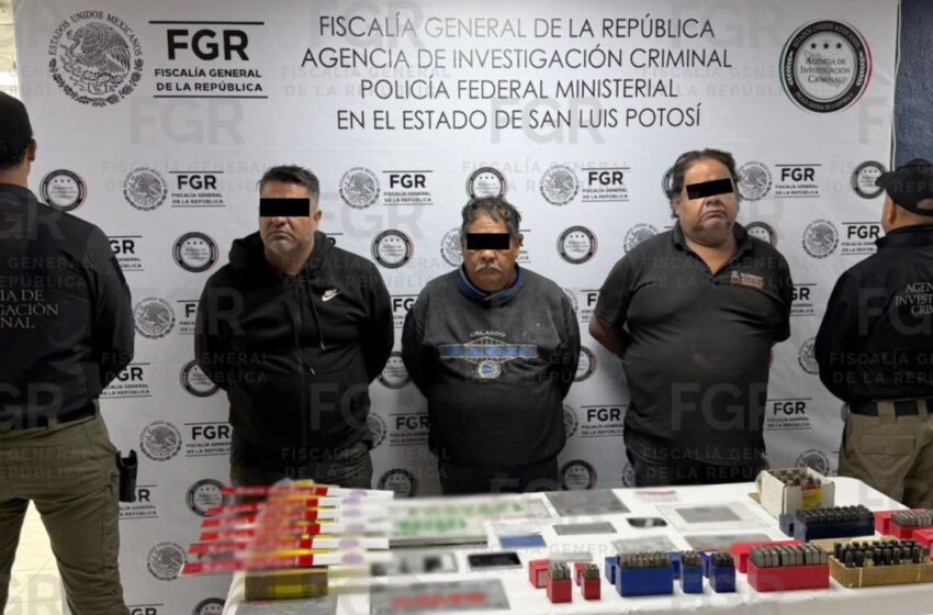  Operativo federal en Los Gómez asegura vehículos, neumáticos robados y fauna silvestre