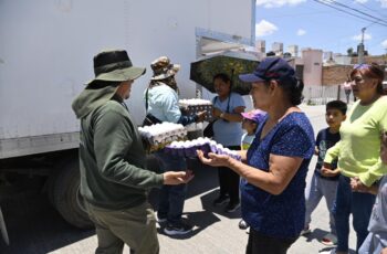 Brigadas municipales entregan carteras de huevo a familias de Soledad de Graciano Sánchez.