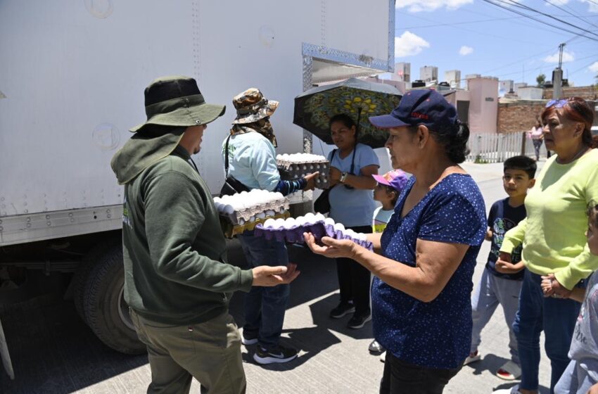  Soledad amplía entrega de huevo casa por casa a más colonias