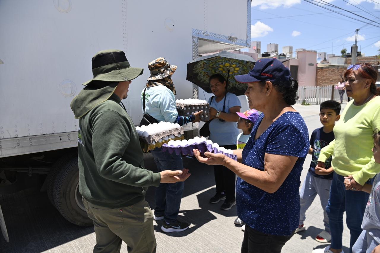 Brigadas municipales entregan carteras de huevo a familias de Soledad de Graciano Sánchez.
