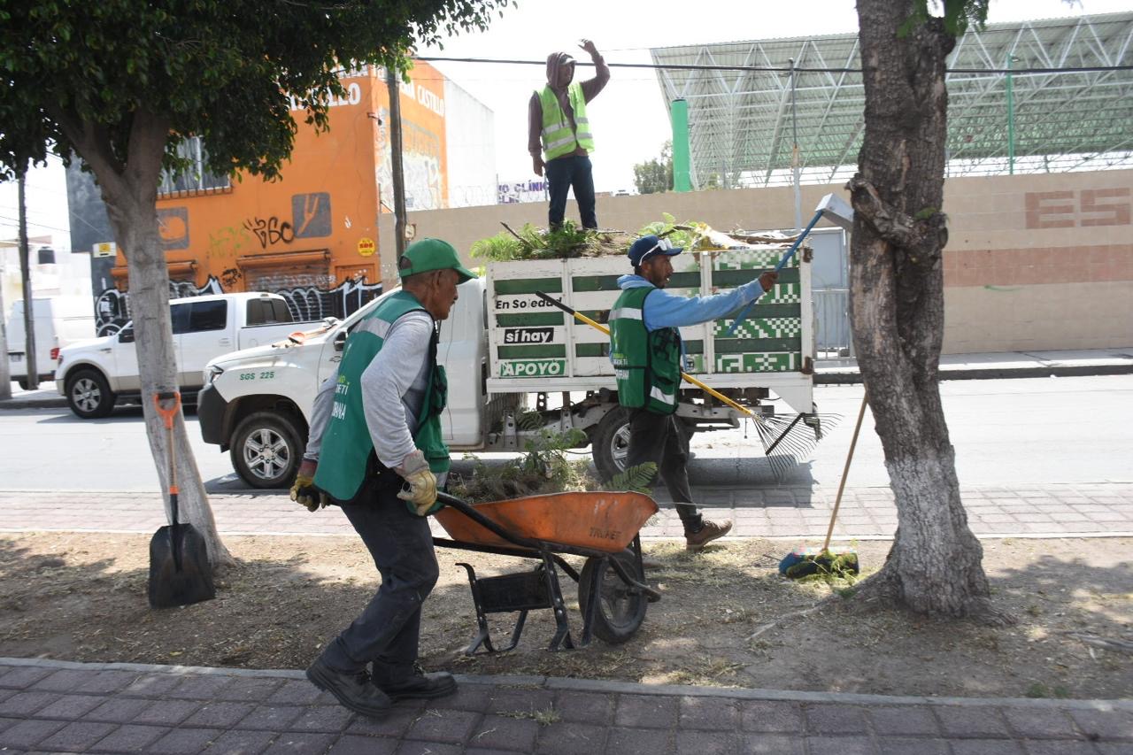 Trabajadores municipales realizan labores de limpieza y deshierbe en una avenida de Soledad de Graciano Sánchez.