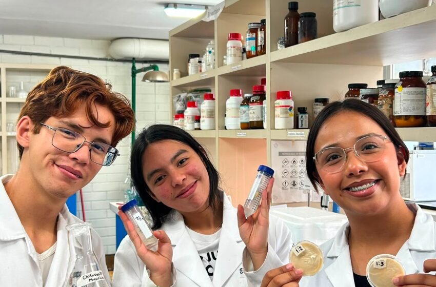  UASLP desarrolla espumas nanoestructuradas para descontaminar agua
