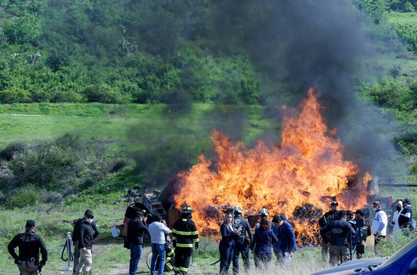  Destruyen en Guanajuato más de 563 kilos de droga y bienes valuados en 10.1 millones de pesos