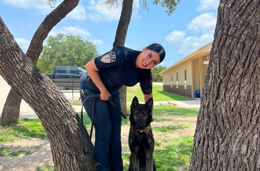  Policías del Grupo K9 de Aguascalientes se capacitan en Texas para fortalecer detección especializada