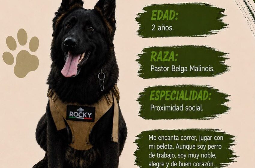 ROCKY, EL LOMITO NOBLE QUE FORTALECE LA CONFIANZA ENTRE LA GUARDIA CIVIL Y LA CIUDADANÍA