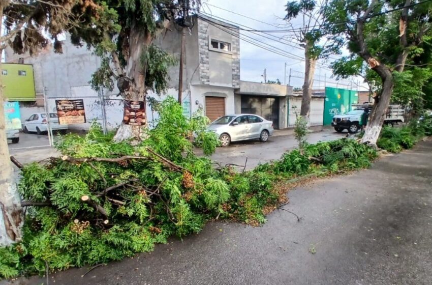  Soledad mantiene operativo de atención ante incidencias por lluvias