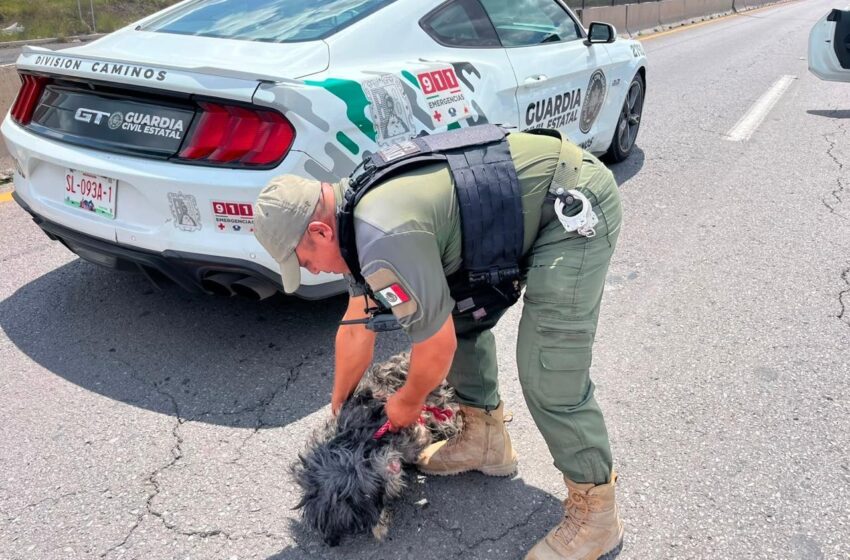  MODELO DE SEGURIDAD ENFOCADO EN LA PROXIMIDAD SOCIAL REFUERZA TEJIDO SOCIAL
