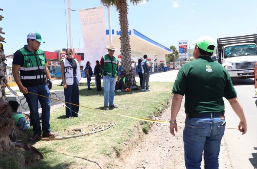  RedMetro reubicará parada Fenapo por entrada en operación del Paso Inferior Arena Potosí