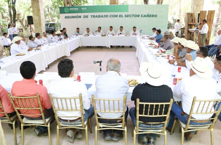  Ajuste federal al precio de la caña beneficiará a productores de la Huasteca Potosina