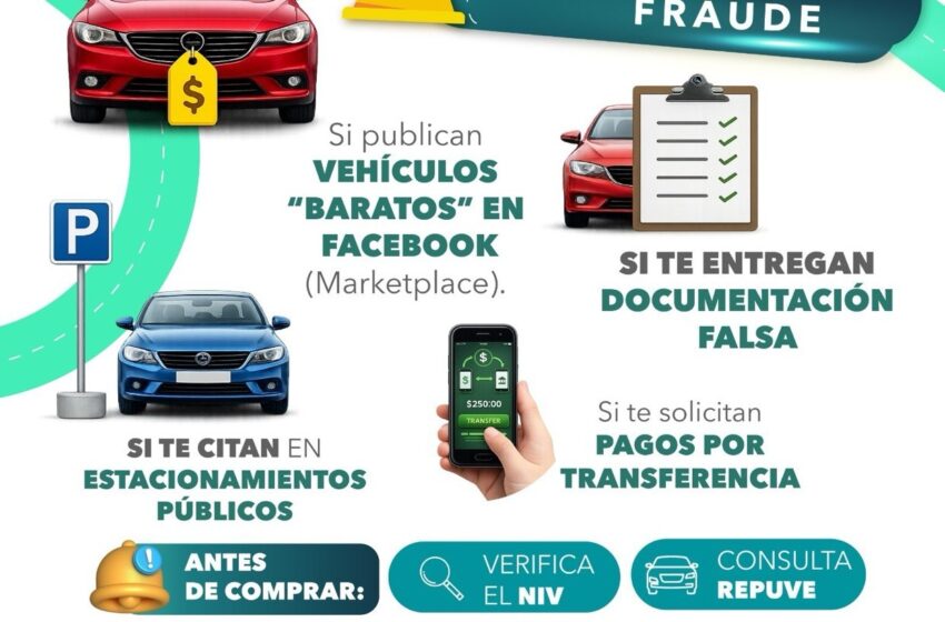  FGESLP ACCIONA CONTRA FRAUDES EN LA COMPRA DE VEHÍCULOS*