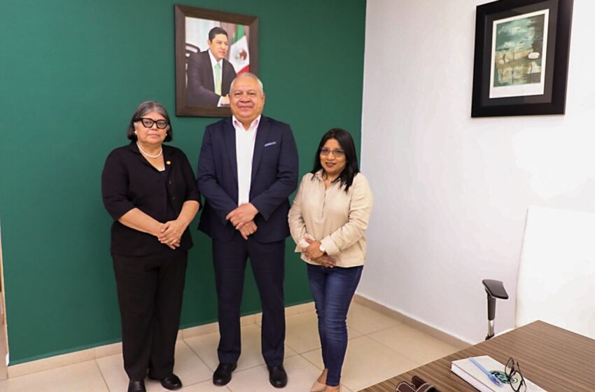  IMPULSAN SSPC Y CONSULADO DE GUATEMALA MECANISMOS DE COOPERACIÓN EN FAVOR DE LA SEGURIDAD