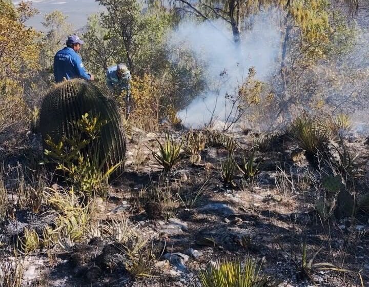  San Luis Potosí registra menos incendios forestales durante 2026