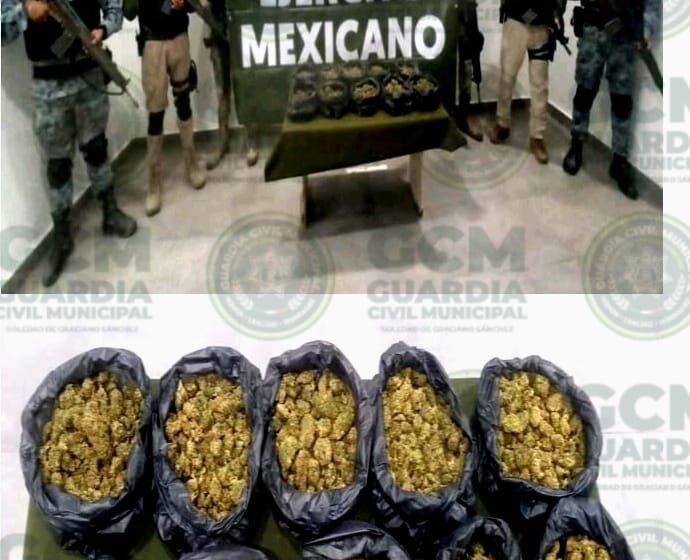  DURANTE OPERATIVO “BOMI”, OFICIALES DE LA GCM DE SOLEDAD ASEGURAN TRES KILOS DE MARIHUANA