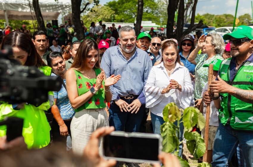  Reforestan con 3 mil árboles espacios verdes de Ciudad Valles y Tamuín