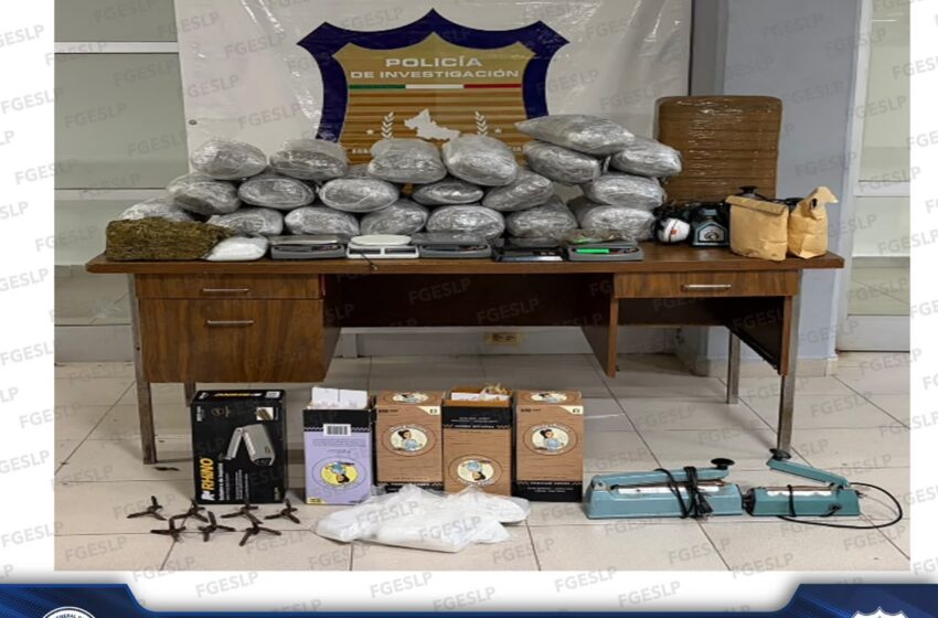  Fiscalía asegura más de 33 kilos de presunta marihuana durante cateo en Ciudad Valles