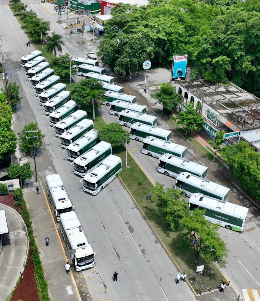 Unidades eléctricas de RedMetro estacionadas en una vialidad de San Luis Potosí