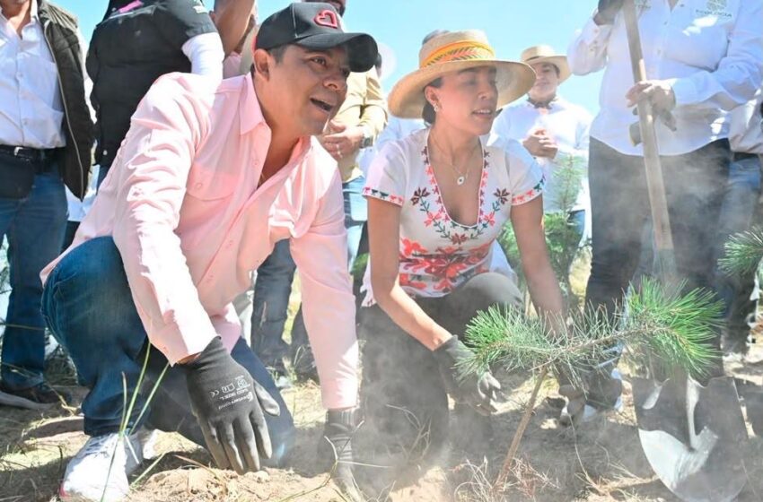  Gallardo se suma a jornada nacional de reforestación en la Sierra de San Miguelito