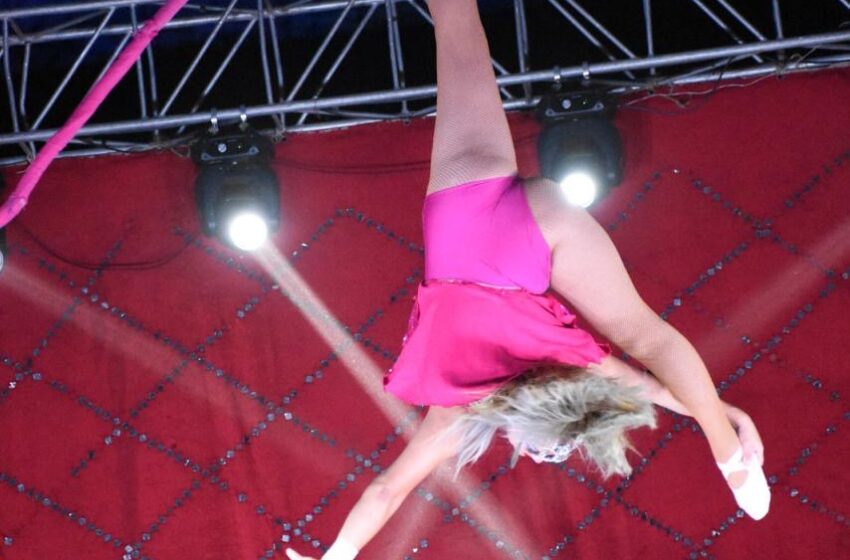  Royal Star Circus tendrá funciones familiares y de terror en la FENAPO 2026