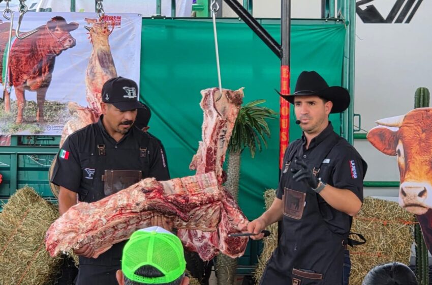  FENAPO muestra el potencial del ganado Limousin en master class gastronómica