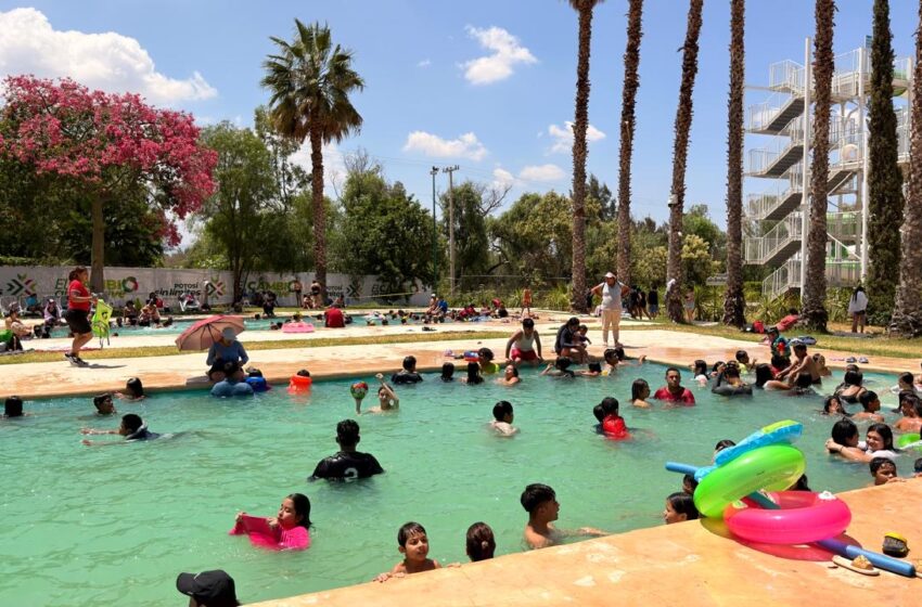  DinOasis Aqua Park recibe a miles de familias durante vacaciones