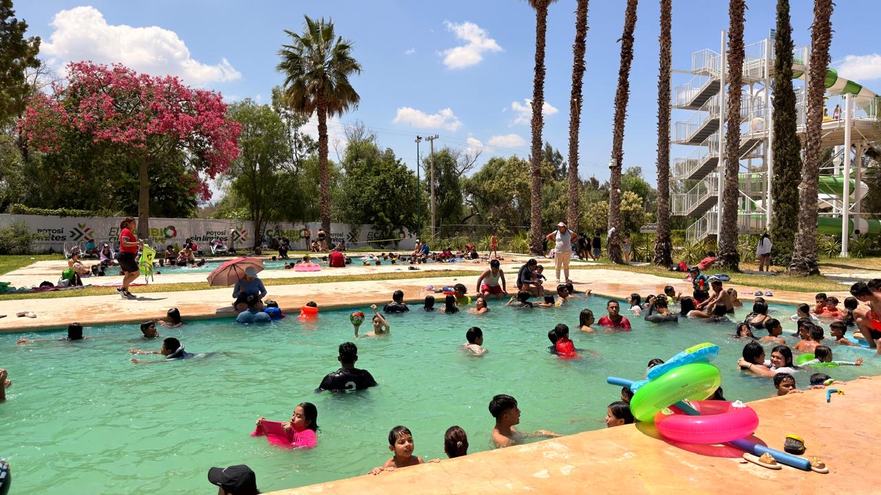 Familias disfrutan de albercas y toboganes en DinOasis Aqua Park durante la temporada vacacional en San Luis Potosí.