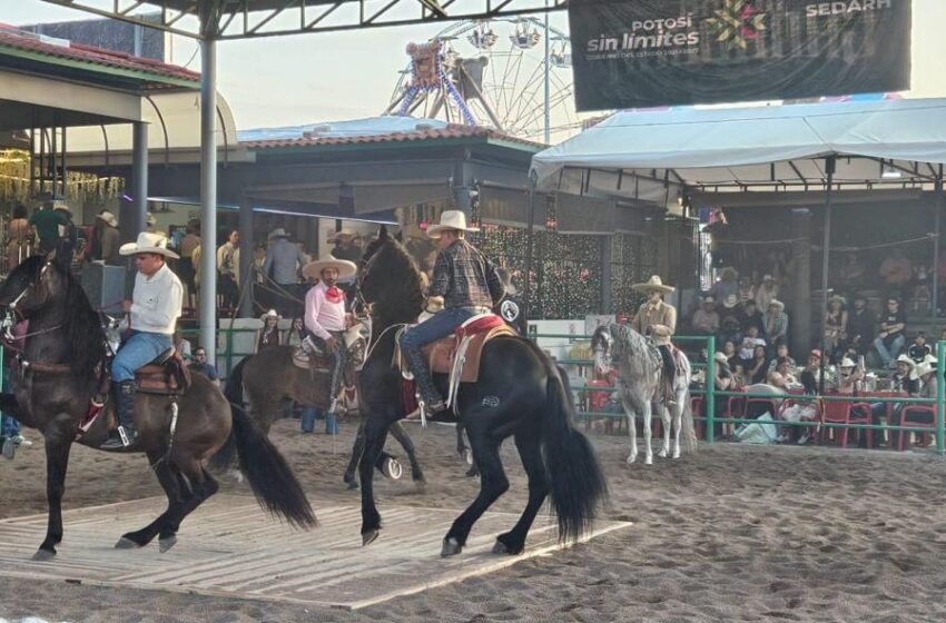  FENAPO reúne a caballos bailadores de cinco estados en Tierra Ganadera