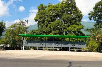 Parador de RedMetro Riviera Huasteca en una vialidad rodeada de vegetación, como parte de la infraestructura de transporte gratuito en la región Huasteca.