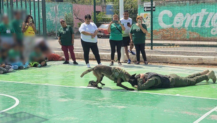  GCE IMPULSA LA CULTURA DE LA PREVENCIÓN Y EL RESPETO ANIMAL ENTRE LA NIÑEZ