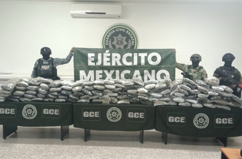  EN OPERATIVO BOMI AUTORIDADES DECOMISAN 90 KILOGRAMOS DE MARIHUANA