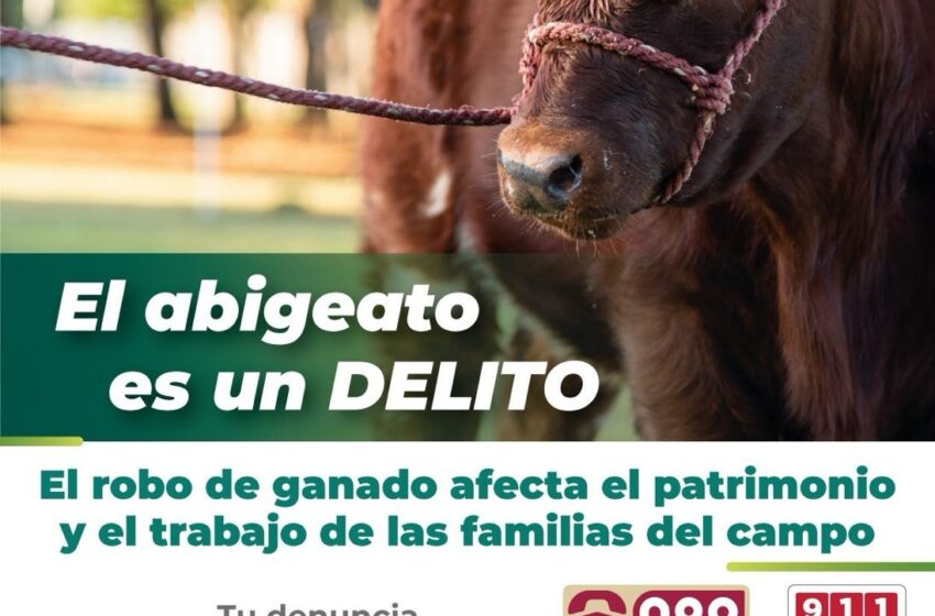  LA FISCALÍA HACE UN LLAMADO A DENUNCIAR EL DELITO DE ABIGEATO PARA PROTEGER EL PATRIMONIO DEL CAMPO POTOSINO*