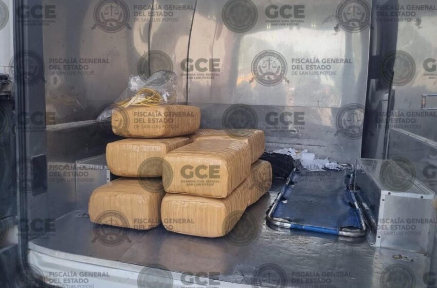  EN ACCION COORDINADA FISCALÍA Y SECRETARÍA DE SEGURIDAD DECOMISAN SUSTANCIAS PROHIBIDAS Y VEHICULOS