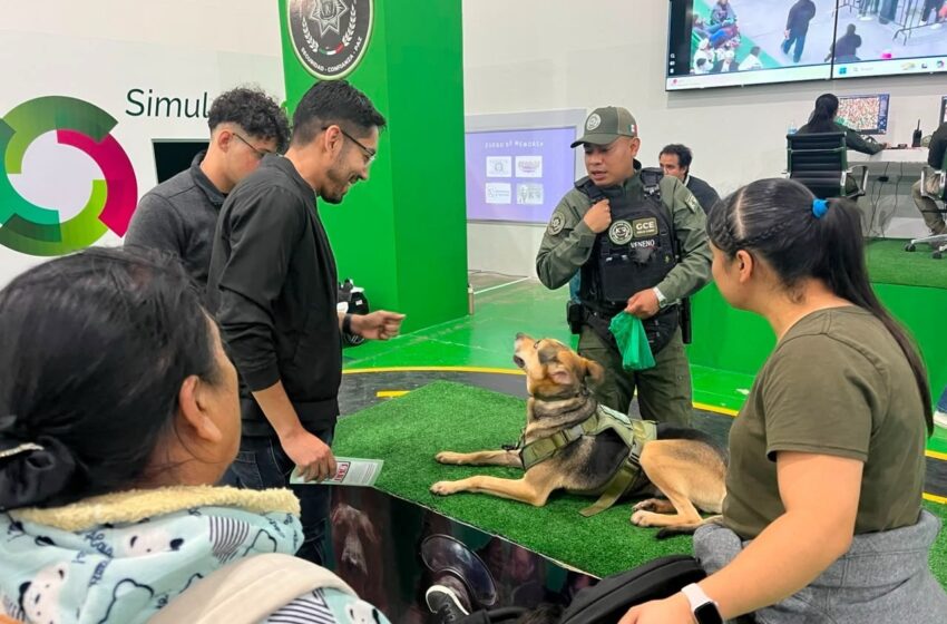  STAND DE SEGURIDAD EN FENAPO 2026 ACERCA LA PREVENCIÓN A LAS FAMILIAS POTOSINAS